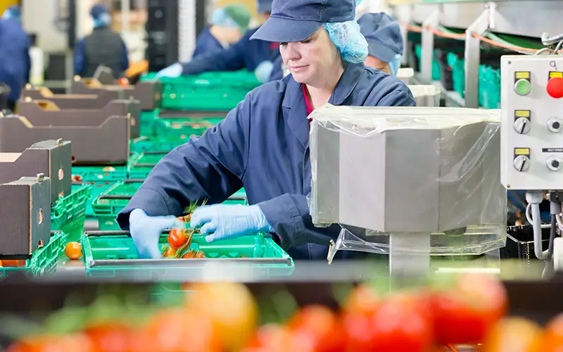 Food Production Jobs Inverness