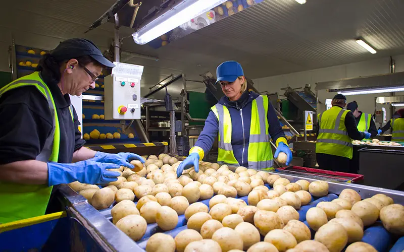 Highland Food Production jobs